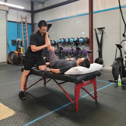 Performance Therapist